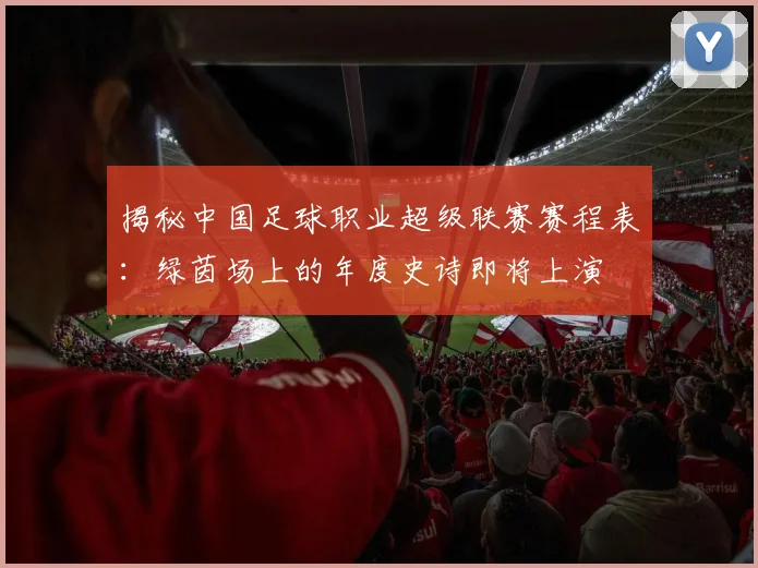 揭秘中国足球职业超级联赛赛程表:绿茵场上的年度史诗即将上演